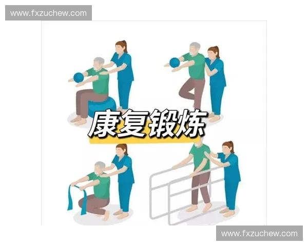 运动康复球在家庭锻炼与身体机能恢复训练中的科学应用与实践指南